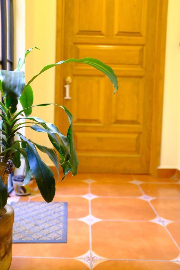 Pozzito Boutique San Miguel de Allende Exterior photo